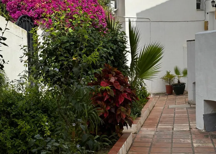 Bajamar 24 Apartamento