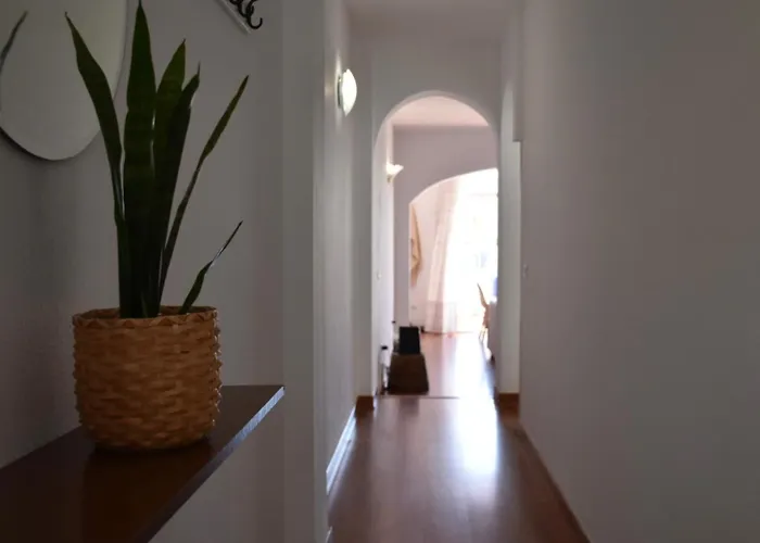 Bajamar 24 * Нерха