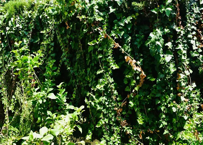 Apartmán Bajamar 24