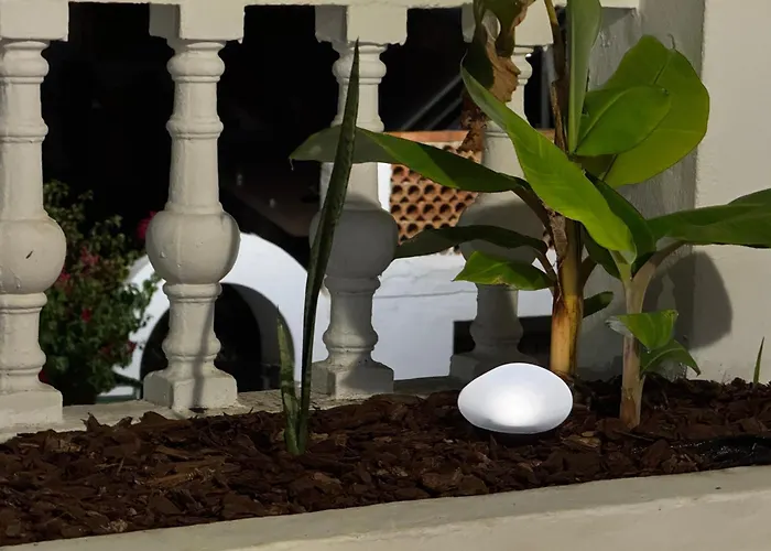 Apartamento Bajamar 24